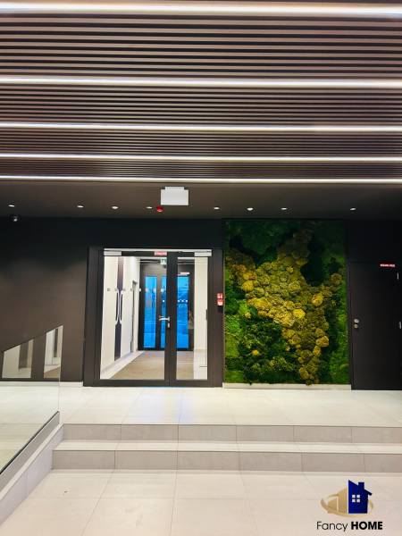 20260317_164311513_iOS 1.jpg